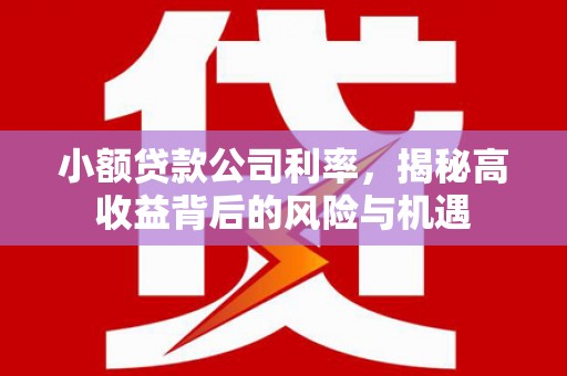 盈江小额贷款公司利率，揭秘高收益背后的风险与机遇