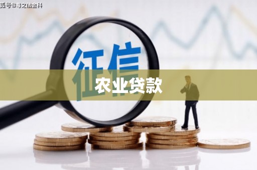 盈江农业贷款
