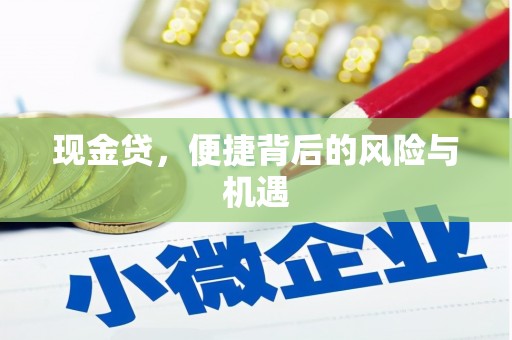 盈江现金贷，便捷背后的风险与机遇