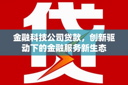 盈江金融科技公司贷款，创新驱动下的金融服务新生态