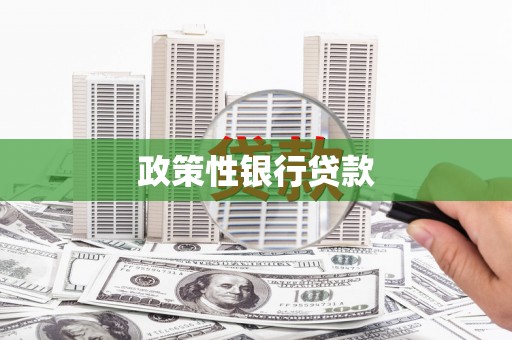 盈江政策性银行贷款