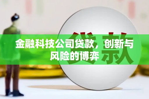盈江金融科技公司贷款，创新与风险的博弈