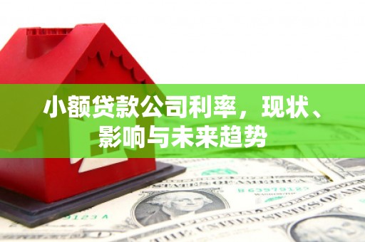 盈江小额贷款公司利率，现状、影响与未来趋势