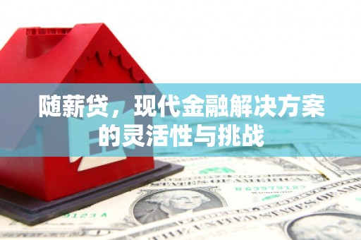 盈江随薪贷，现代金融解决方案的灵活性与挑战