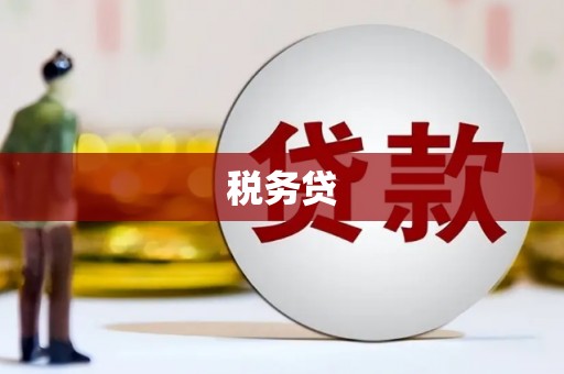 盈江税务贷