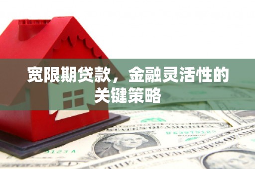 盈江宽限期贷款，金融灵活性的关键策略