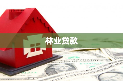 盈江林业贷款