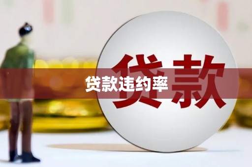 盈江贷款违约率