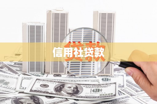 盈江信用社贷款