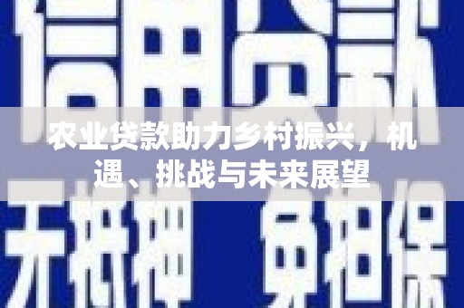 盈江农业贷款助力乡村振兴，机遇、挑战与未来展望