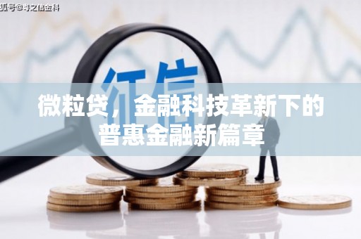 盈江微粒贷，金融科技革新下的普惠金融新篇章