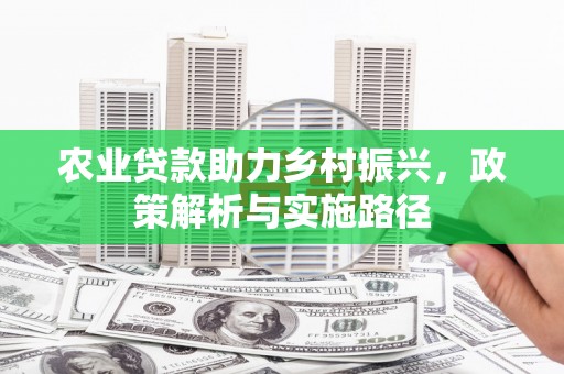 盈江农业贷款助力乡村振兴，政策解析与实施路径