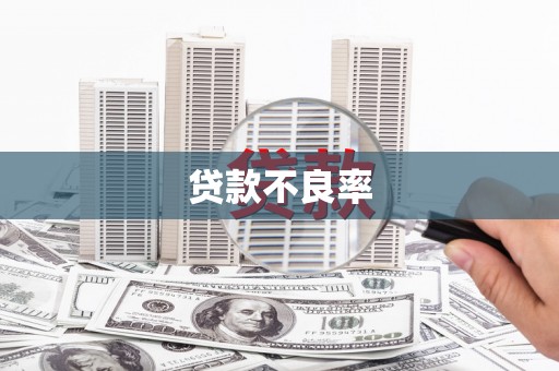 盈江贷款不良率