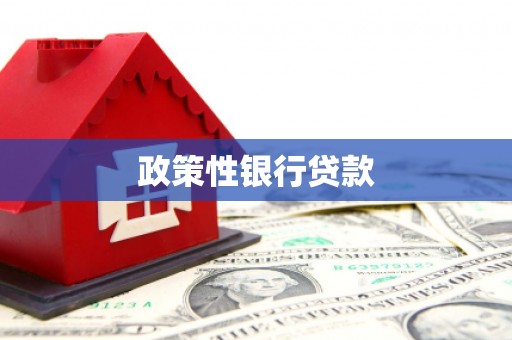 盈江政策性银行贷款