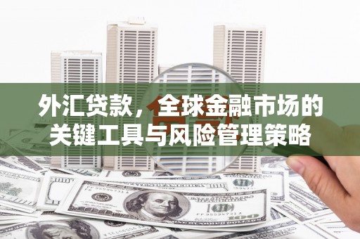 盈江外汇贷款，全球金融市场的关键工具与风险管理策略