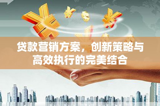 盈江贷款营销方案，创新策略与高效执行的完美结合