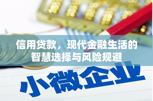 盈江信用贷款，现代金融生活的智慧选择与风险规避