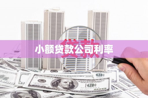 盈江小额贷款公司利率