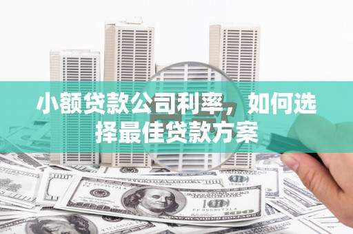 盈江小额贷款公司利率，如何选择最佳贷款方案