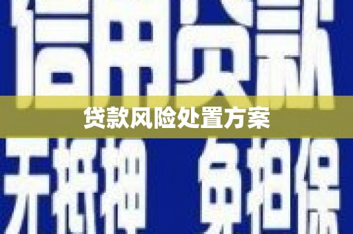 盈江贷款风险处置方案
