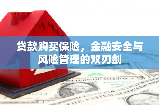 盈江贷款购买保险，金融安全与风险管理的双刃剑