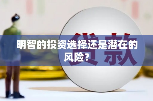 盈江明智的投资选择还是潜在的风险？