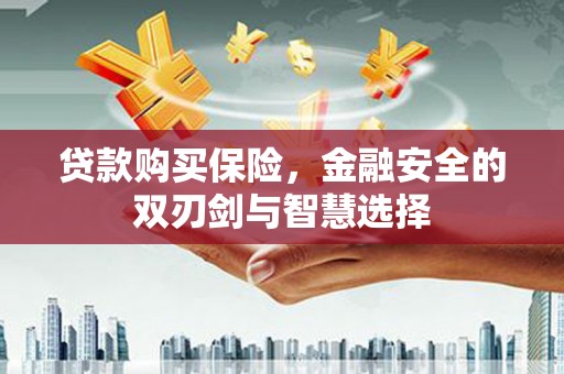 盈江贷款购买保险，金融安全的双刃剑与智慧选择