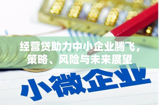 盈江经营贷助力中小企业腾飞，策略、风险与未来展望