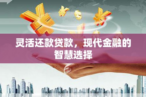 盈江灵活还款贷款，现代金融的智慧选择
