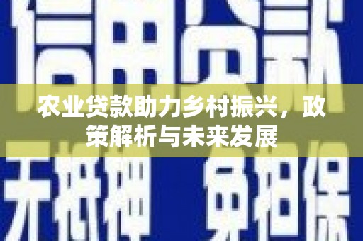 盈江农业贷款助力乡村振兴，政策解析与未来发展