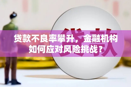 盈江贷款不良率攀升，金融机构如何应对风险挑战？