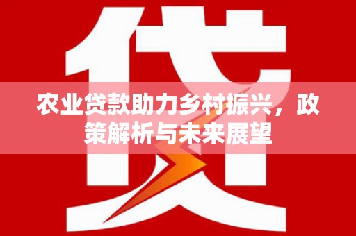 盈江农业贷款助力乡村振兴，政策解析与未来展望