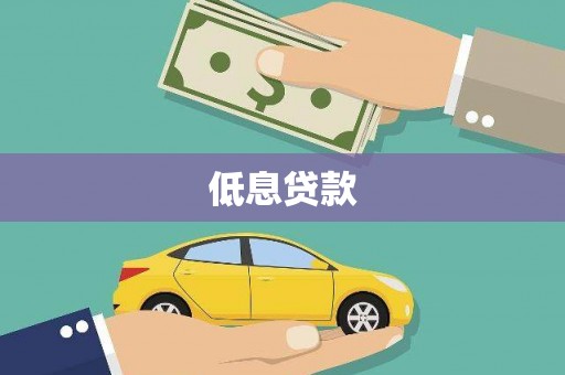 盈江低息贷款