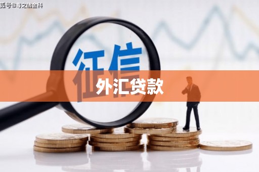 盈江外汇贷款