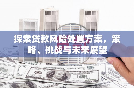 盈江探索贷款风险处置方案，策略、挑战与未来展望