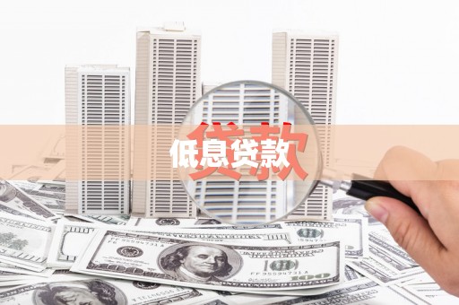 盈江低息贷款