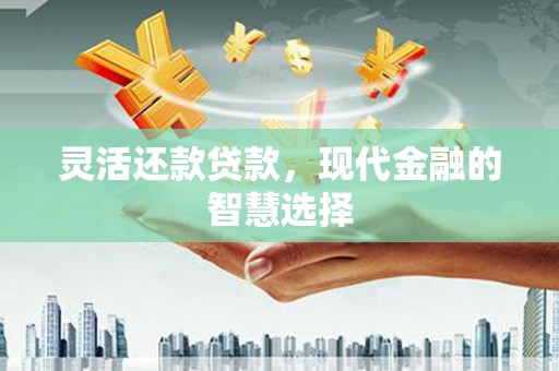 盈江灵活还款贷款，现代金融的智慧选择
