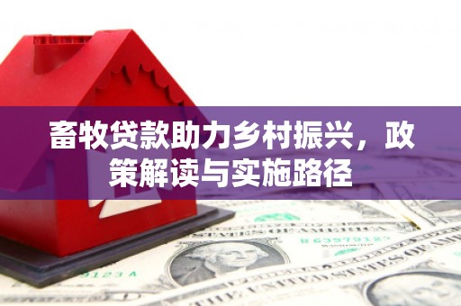 盈江畜牧贷款助力乡村振兴，政策解读与实施路径