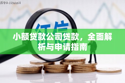 盈江小额贷款公司贷款，全面解析与申请指南
