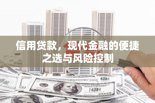 盈江信用贷款，现代金融的便捷之选与风险控制