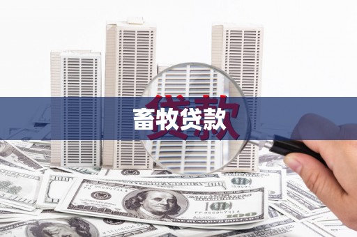 盈江畜牧贷款