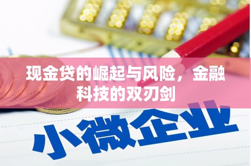 盈江现金贷的崛起与风险，金融科技的双刃剑