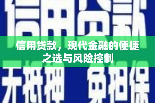 盈江信用贷款，现代金融的便捷之选与风险控制