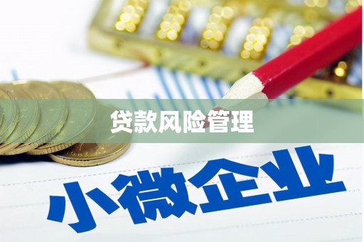盈江贷款风险管理