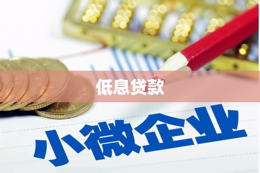 盈江低息贷款