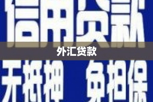 盈江外汇贷款