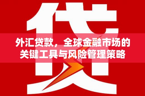 盈江外汇贷款，全球金融市场的关键工具与风险管理策略