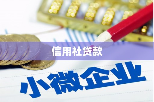 盈江信用社贷款