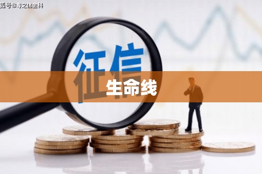 盈江生命线