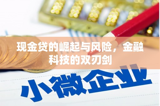 盈江现金贷的崛起与风险，金融科技的双刃剑